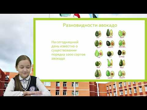 Видео: Лауреаты I школьной научно-практической конференции. Начальные классы