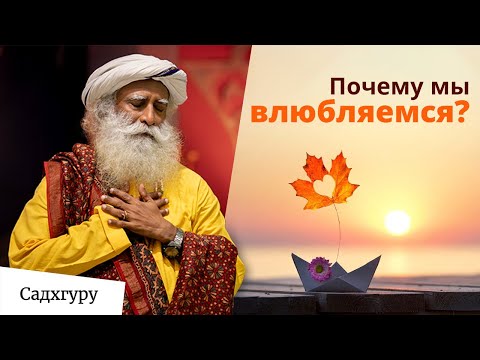 Видео: Природа любви: инстинкт, выбор или нечто космическое?