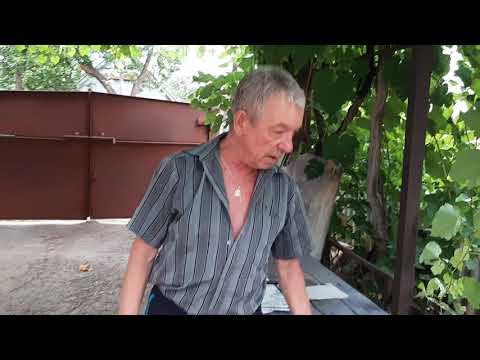 Видео: ПАСЕКА.ПЧЕЛОВОДСТВО.ОСЫ!!!ОСЫ!!! Боремся с этой проблемой.