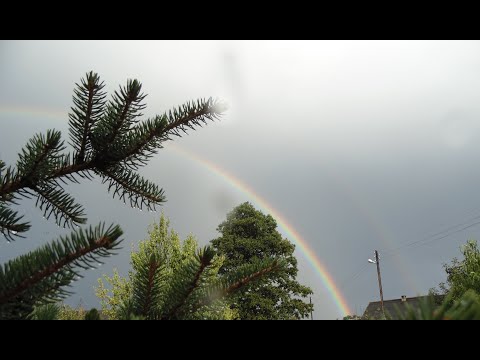 Видео: Усеночная. Бэкстэйдж