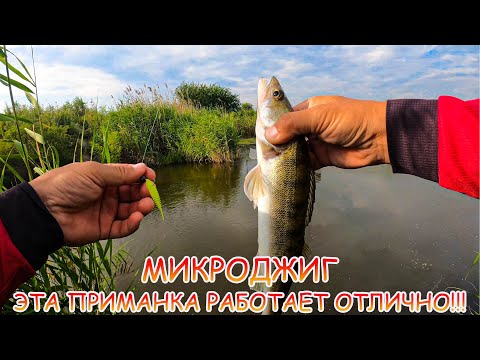 Видео: МИКРОДЖИГ ранним утром! Эта ПРИМАНКА работает отлично!!!