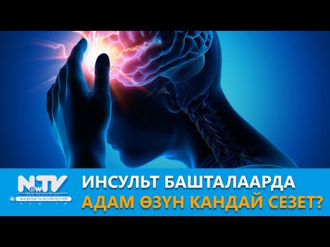 Видео: NewTV// Инсульт башталаарда адам өзүн кандай сезет? // Дабагер