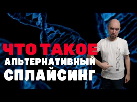 Видео: Что такое альтернативный сплайсинг? Душкин объяснит