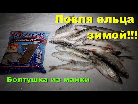 Видео: Ловля ельца зимой. Болтушка из манки