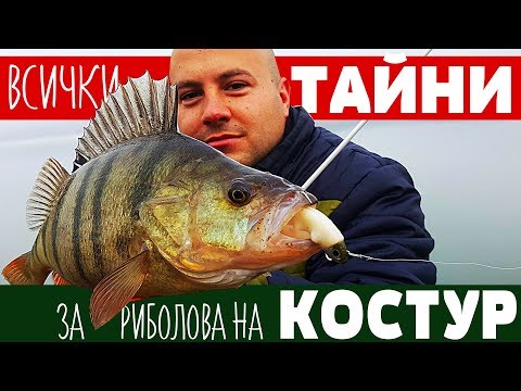 Видео: Всички ТАЙНИ за риболова на костур! КАК и на КАКВО! Панчарево PERCH / окунь / Риболов за начинаещи