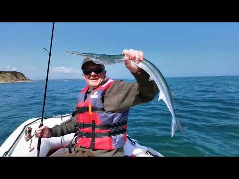 Видео: КАМБАЛА И САРГАН НА БАЛТИКЕ.      Wir fangen eine Flunder am Ostsee.