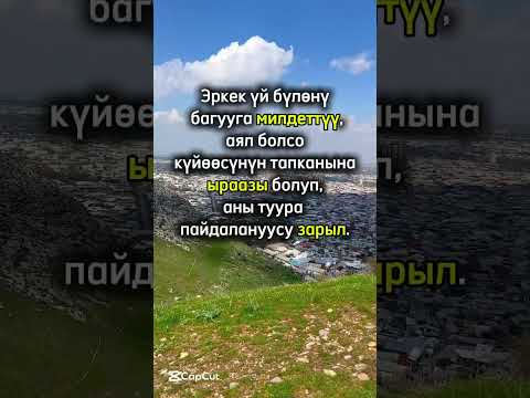 Видео: Лайк баса кетиңиз #руханижаңғыру #жашоонун_мааниси #жашоо #facts #рек