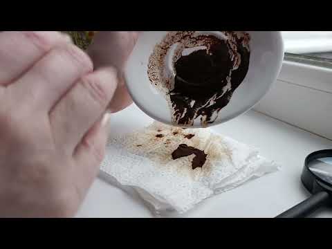 Видео: 😁☘️🏆ЧЕМ ПОРАДУЕТ НЕДЕЛЯ.💝 Гадание на кофейной гуще онлайн. 