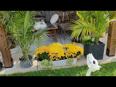 Видео: 6BM8 Ламповий підсилювач: варіант #2