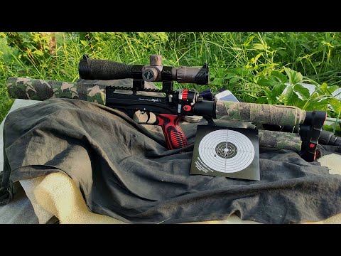 Видео: EDgun Leshiy 2.0 Long 5 5 мм, 350 мм