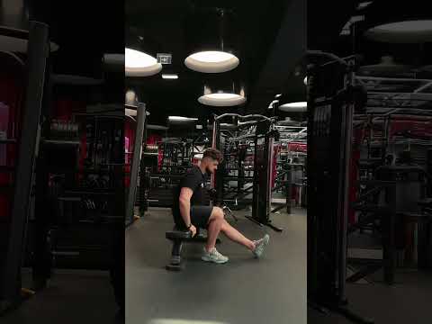 Видео: Фитнес-лайфхак для болгарских сплит-приседаний🔥#спорт #тренировка #упражнения #лайфхак