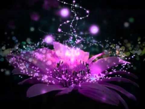 Видео: Филипп Киркоров. Танго (Ты меня ещё не любишь).