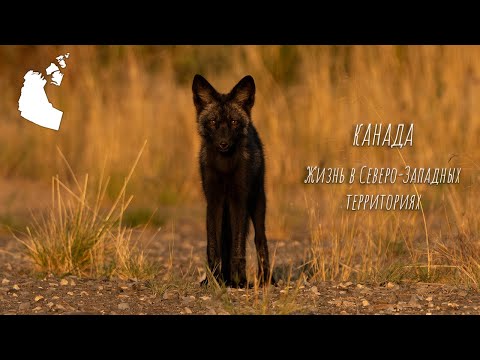 Видео: Северо-западные территории Канады: чем заняться