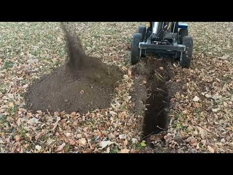 Видео: 5 ноября 2024 г.