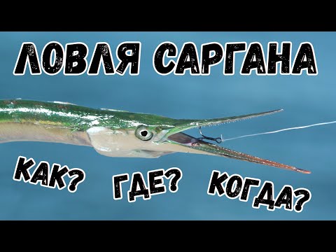 Видео: КАК ЛОВИТЬ САРГАНА. Топ 3 проводки ПИЛЬКЕРА. Время и место.  Рыбалка на море!