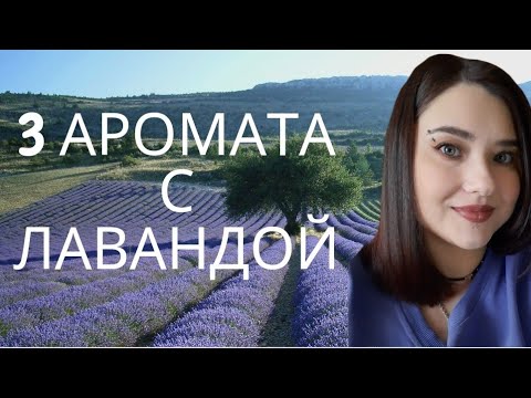 Видео: 💜Прекрасная ЛАВАНДА. 💜Три разных аромата. Blumarine Let you love me, SJP lovely, YSL Libre