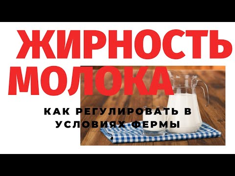 Видео: Как изменить жирность молока у коровы? Обзор от зоотехника-практика