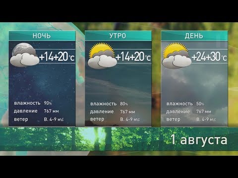 Видео: Прогноз погоды на 1 августа