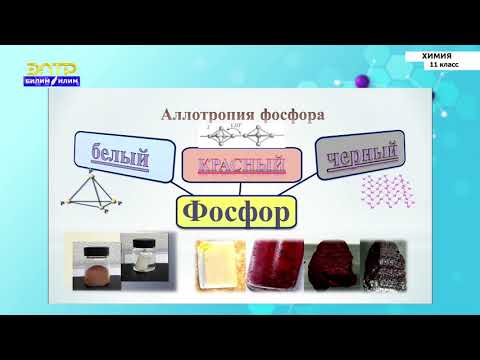 Видео: 11-класс | Химия |  Аллотропия и изомерия. Общие понятия