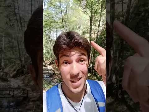 Видео: Отивай в Гората! Съхрани себе си!🔥🚀 #advice #nature #beautifulnature #greenforest #forest #clearmind