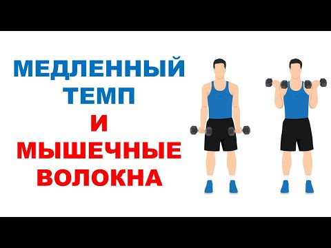Видео: Три разных силовых тренировки и рост мышечных волокон