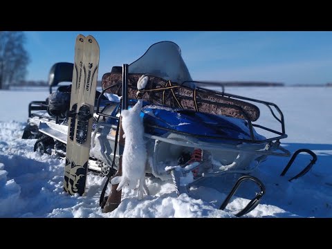 Видео: Охота на зайца!!! Arctic cat bearcat 660 turbo первые впечатления!!! Омская область!!!