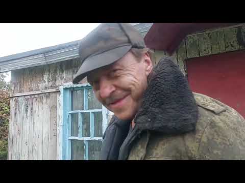 Видео: Олег готовится к зиме.