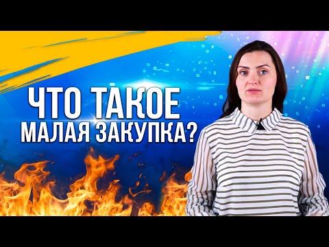Видео: Что такое малая закупка?