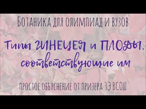 Видео: Всё о типах гинецея и плодах | Морфология растений для олимпиад и экзаменов по ботанике в вузе