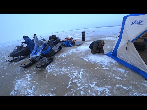 Видео: 🎣Уна.Ловим навагу.2022 г.