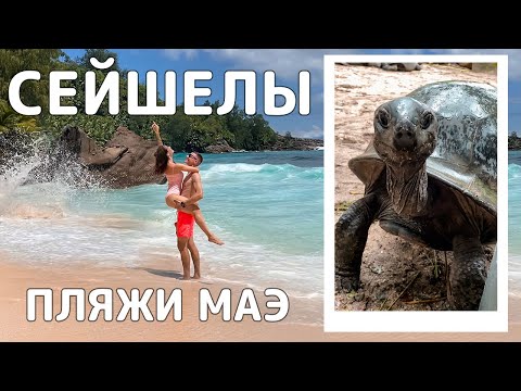 Видео: Пляжи Маэ. Пробуем местную кухню. Уличная еда на Сейшелах. Ботанический сад Виктории