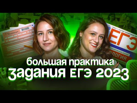 Видео: Большая практика. Задания ЕГЭ 2023 | ЕГЭ-2025 по биологии
