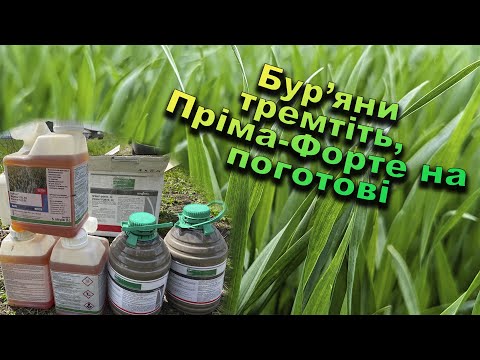 Видео: Перше внесення засобів захисту на озиму пшеницю