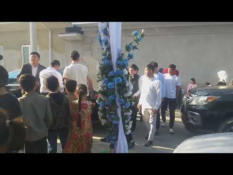 Видео: 8 октября 2025 г.