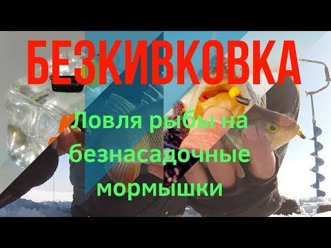 Видео: РАЗДАЧА ОКУНЯ НА #БЕЗМОТЫЛКУ БЕЗ КИВКА!!!