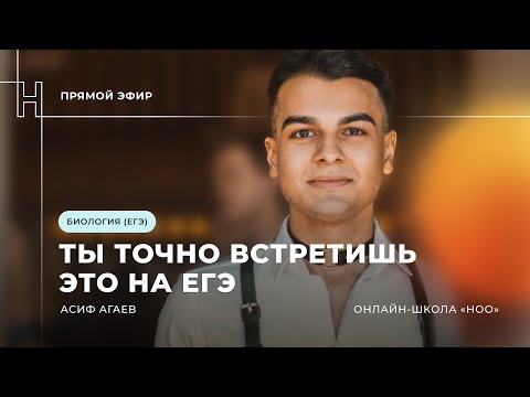 Видео: ЗАДАЧИ №28, КОТОРЫЕ ТЫ ТОЧНО ВСТРЕТИШЬ НА ЕГЭ ПО БИОЛОГИИ 2024| НОО