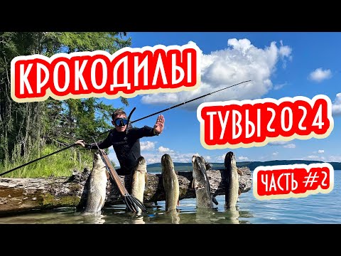 Видео: 🎯💪 ТЯГУ НАТЯНУЛ —ЩУКЕ ЧЁТКО ВДУЛ 🐊💥! КРОКОДИЛЫ ТУВЫ 2024 — Часть 2