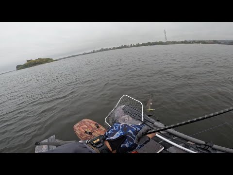 Видео: Глубоководный твичинг , 01.10.2022 гЩука весом 3,6 кг, , но она оказалась больной .