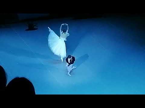 Видео: Жизель 6 ноября 2025