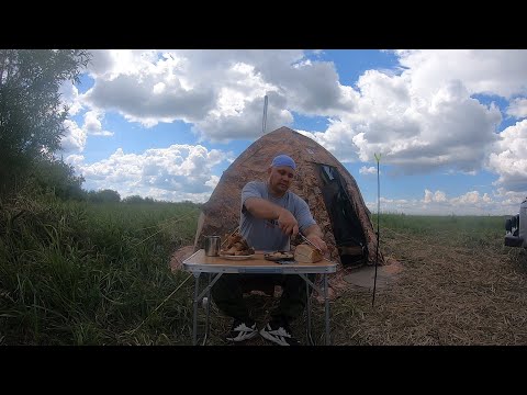 Видео: Рыбалка с Ночёвкой на КАРАСЯ. Жареная рыба на природе