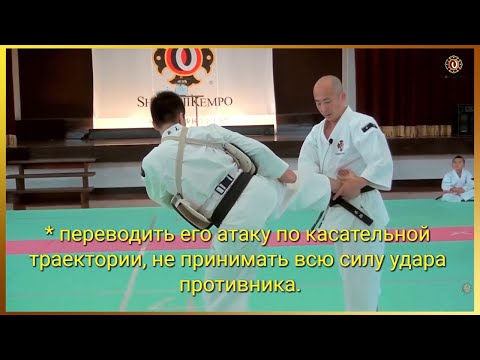 Видео: Стили реального боя в Сёриндзи Кэмпо. Жёсткий метод (ГОХО). Мягкий метод (ДЗЮХО)