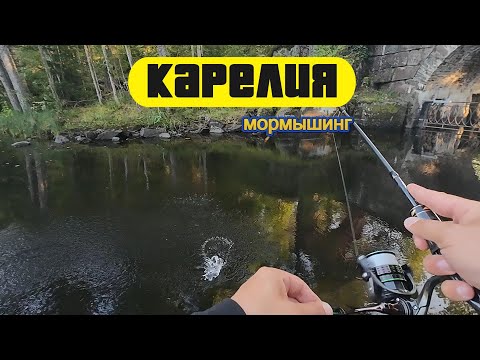 Видео: #мормышинг | Карелия | "Рыбалка мечты" |