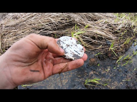 Видео: Что можно найти в хуторах Смоленской области?