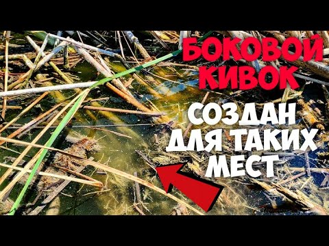 Видео: Ух, сколько сил в этой рыбы? Ловля Белого Амура на Боковой Кивок. Рыбалка летом.