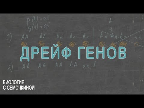 Видео: Дрейф генов
