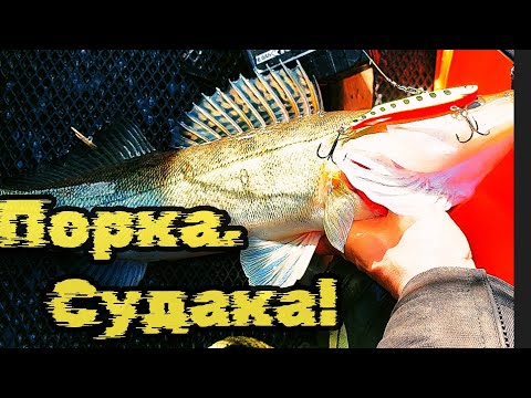 Видео: ЗАЕХАЛ В ТОРОСЫ! И НАЧАЛ ДУБАСИТЬ СУДАКА!😱🐟👍