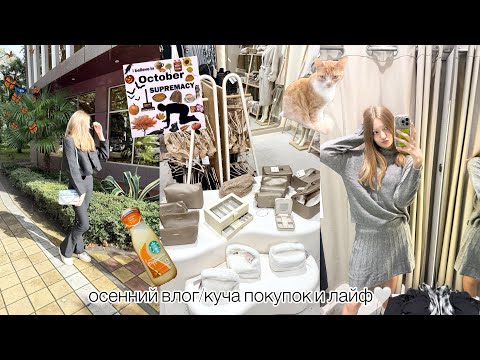 Видео: осенний влог/куча покупок/маник,квиз,уборка🍂