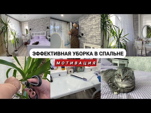 Видео: Мотивация на уборку / Обрезаю юкку🌴/ Наконец избавилась от них