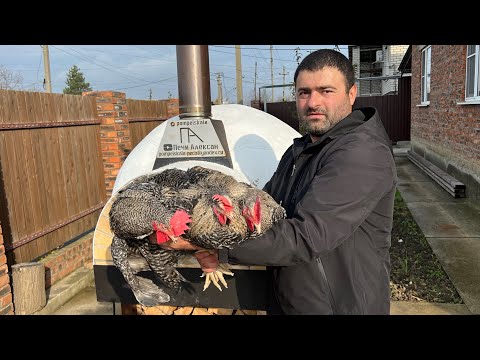 Видео: Зажарил Стейк Говядины на Улях | Бульон Молодых Петушков в Дровяной Печи🔥