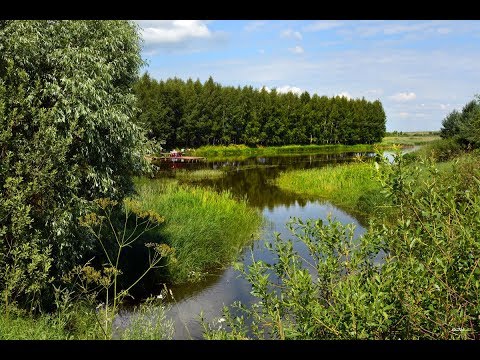 Видео: "Наша История"  История неизвестных рек г.Ликино-Дулёво